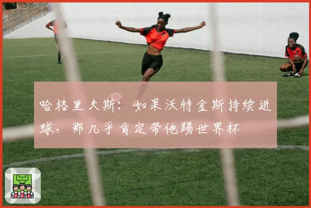 哈格里夫斯：如果沃特金斯持续进球，那几乎肯定带他踢世界杯