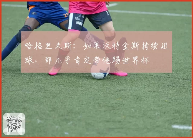 哈格里夫斯：如果沃特金斯持续进球，那几乎肯定带他踢世界杯